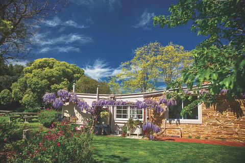 McLaren Vale Winery Small Group Tour With Wine Tasting And Lunch - Accommodation ACT 2