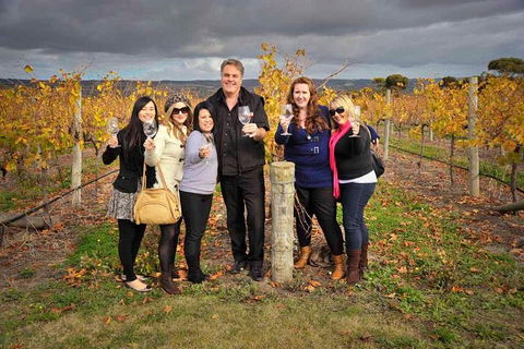 McLaren Vale Winery Small Group Tour With Wine Tasting And Lunch - Accommodation ACT 3