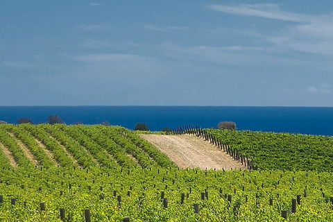 McLaren Vale Winery Small Group Tour With Wine Tasting And Lunch - Accommodation ACT 4