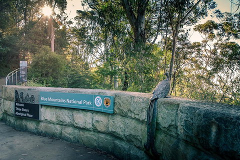 Ultimate Blue Mountains Waterfalls, Walks & Sunset PRIVATE Tour - Accommodation ACT 3