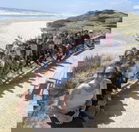 3 Day Tasmanian Wild West Coast Tour from Hobart to Launceston - Accommodation ACT