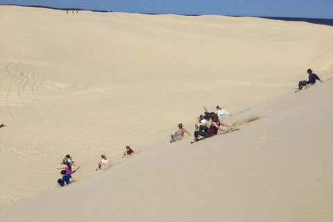 Port Stephens Bush, Beach And Sand Dune 4WD Passenger Tour - Accommodation ACT 4