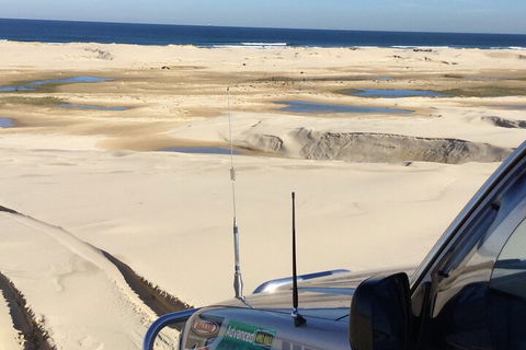 Port Stephens Bush, Beach And Sand Dune 4WD Passenger Tour - Accommodation ACT 5