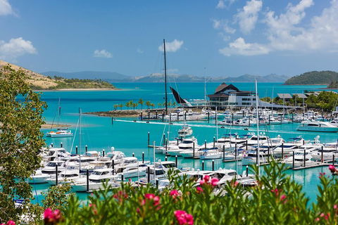 Whitehaven Beach And Hamilton Island Cruise - Accommodation ACT 3