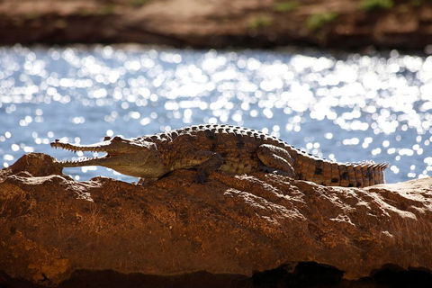 Windjana Explorer - Accommodation ACT 5