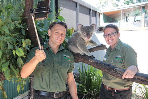 Virtual Interactive Australian Wildlife Tour With Private Guide-Wildlife Habitat - Accommodation ACT 0