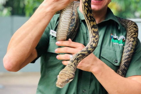 Virtual Interactive Australian Wildlife Tour With Private Guide-Wildlife Habitat - Accommodation ACT 1