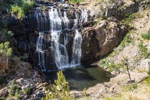 Grampians National Park With Kangaroos And MacKenzie Falls From Melbourne - Accommodation ACT 1