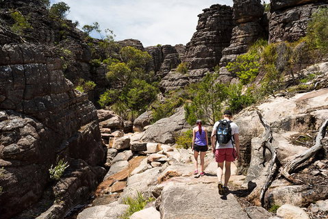 Grampians National Park With Kangaroos And MacKenzie Falls From Melbourne - Accommodation ACT 3