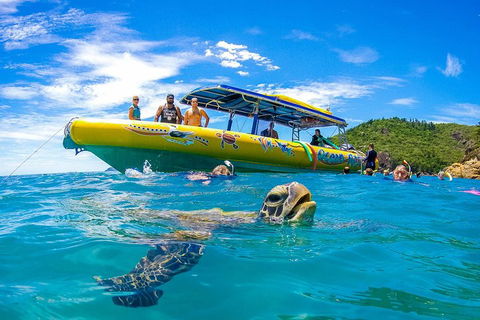 Great Barrier Reef Scenic Flight And Ocean Rafting Whitehaven Beach Day Trip - Accommodation ACT 1