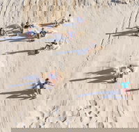 Unlimited Sandboarding - Accommodation ACT