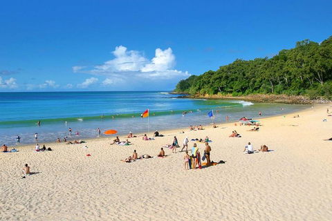 Noosa Everglades Serenity Cruise & Highlights Tour Inc. Lunch & Cruise - Accommodation ACT 4