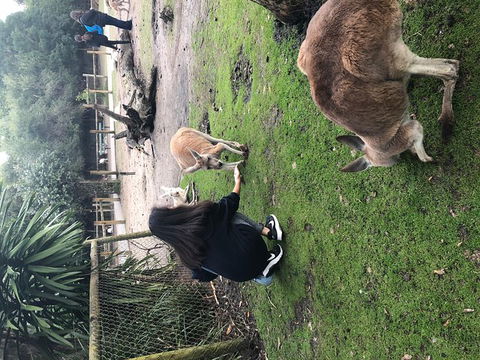 Perth Hills - Wildlife, Art & Gastronomy - Accommodation ACT 4