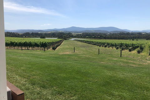 Yarra Valley, Dandenong Ranges Inc. Lunch With Wine,plus Morning Tea,chocolate - Accommodation ACT 3
