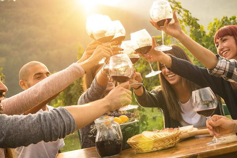 Yarra Valley, Dandenong Ranges Inc. Lunch With Wine,plus Morning Tea,chocolate - Accommodation ACT 4