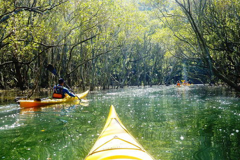 Self-Guided Sydney Middle Harbour Kayak 3 Hour Tour By Double Kayak - Accommodation ACT 3
