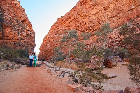 Best Of Alice Springs Full Day Tour - Accommodation ACT 1