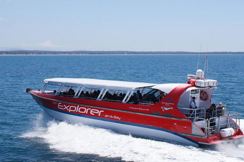Whale Watching Jervis Bay - Accommodation ACT 1