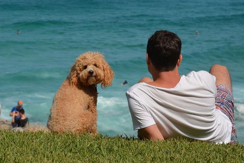 See Sydney With A Local: Private & Personalized - Accommodation ACT 5