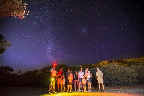 Alice Springs Desert Park Nocturnal Tour - Accommodation ACT 2