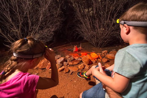 Alice Springs Desert Park Nocturnal Tour - Accommodation ACT 4