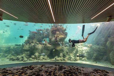 Whitehaven Beach And Daydream Island Cruise - Accommodation ACT 4