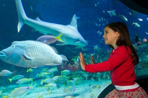 Melbourne BIG Ticket - LEGOLAND Discovery And SEA LIFE Melbourne - Accommodation ACT 1