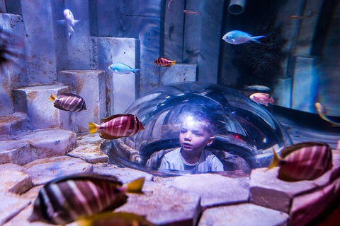 Melbourne BIG Ticket - LEGOLAND Discovery And SEA LIFE Melbourne - Accommodation ACT 5