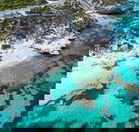 Rottnest Island Round-Trip Ferry from Perth or Fremantle - Accommodation ACT