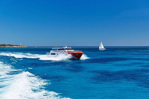 Rottnest Island Round-Trip Ferry From Perth Or Fremantle - Accommodation ACT 4