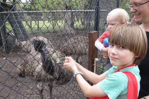 Swan Valley Half-Day Food Tour And Wine Trail From Perth - Accommodation ACT 5