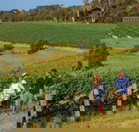 10 Day Perth to Adelaide Private Tour - The Great Australian Wilderness Journey - Accommodation ACT