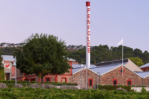 Ultimate Penfolds Magill Estate Experience - Accommodation ACT 3