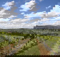 Hunter Valley Wine Tour from Sydney incl Lunch Cheese Chocolate and Distillery - Accommodation ACT