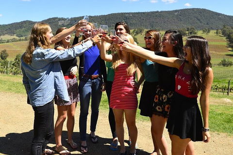 Hunter Valley Wine Tour From Sydney Incl Lunch, Cheese, Chocolate And Distillery - Accommodation ACT 3