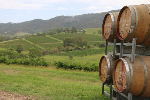 Hunter Valley Wine Tour From Sydney Incl Lunch, Cheese, Chocolate And Distillery - Accommodation ACT 5