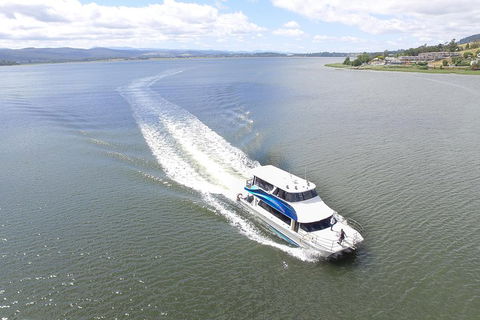 2.5 Hour Morning Discovery Cruise Including Sailing Into The Cataract Gorge - Accommodation ACT 2