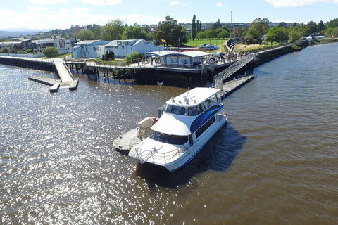 2.5 Hour Morning Discovery Cruise Including Sailing Into The Cataract Gorge - Accommodation ACT 3