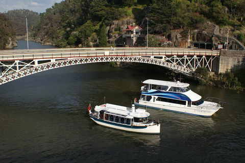 2.5 Hour Morning Discovery Cruise Including Sailing Into The Cataract Gorge - Accommodation ACT 5