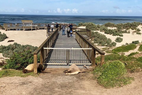 Kangaroo Island 4WD Tour - Best Of KI - Accommodation ACT 2